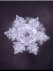 Wasserkristallfoto aus der Wassersäule nach Dr. Masaru Emoto