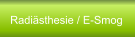 Radiästhesie / E-Smog