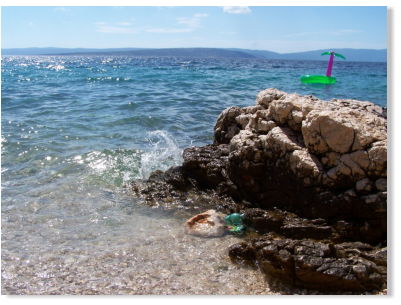 Reif fr die Insel?